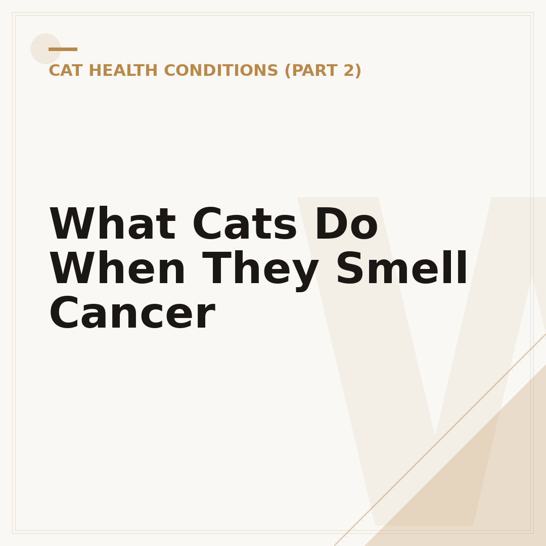 What Cats Do When They Smell Cancer
