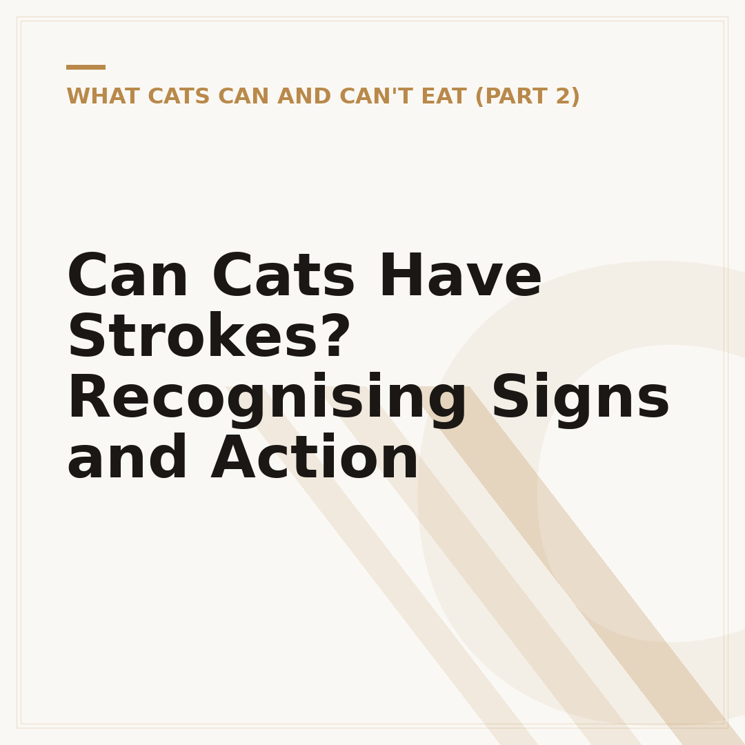 Can Cats Have Strokes? Recognising Signs and Action