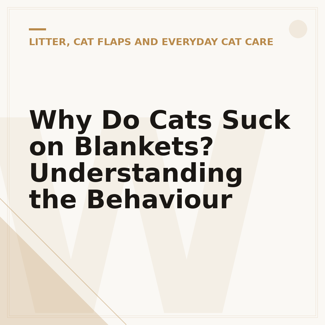Why Do Cats Suck on Blankets? Understanding the Behaviour
