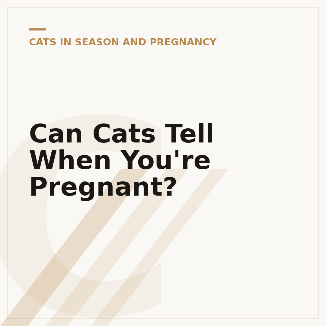 Can Cats Tell When You're Pregnant?