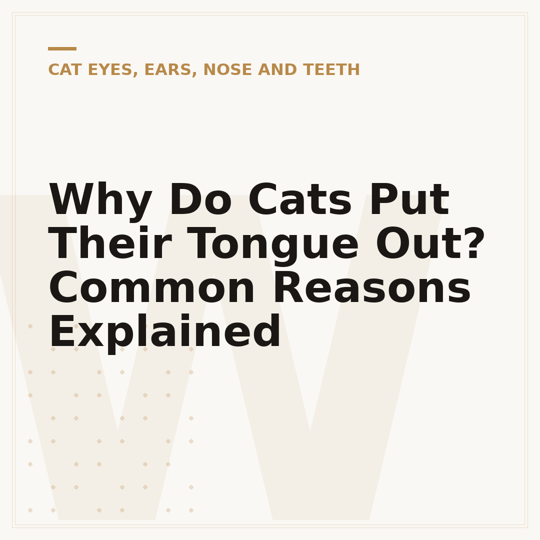 Why Do Cats Put Their Tongue Out? Common Reasons Explained