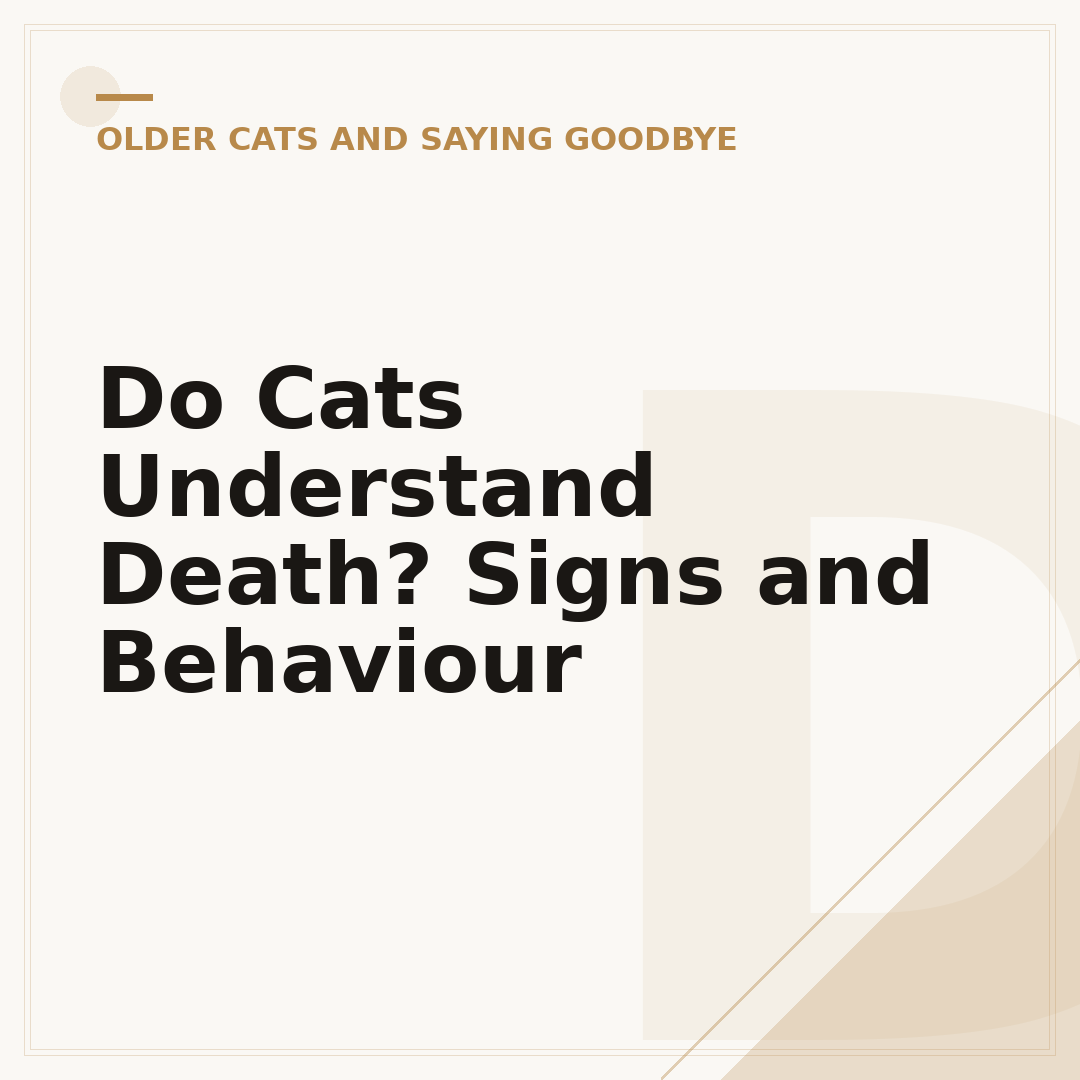 Do Cats Understand Death? Signs and Behaviour