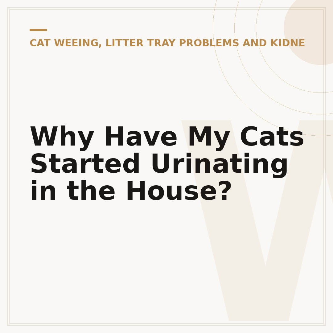 Why Have My Cats Started Urinating in the House?