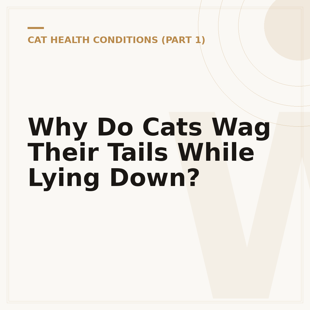Why Do Cats Wag Their Tails While Lying Down?