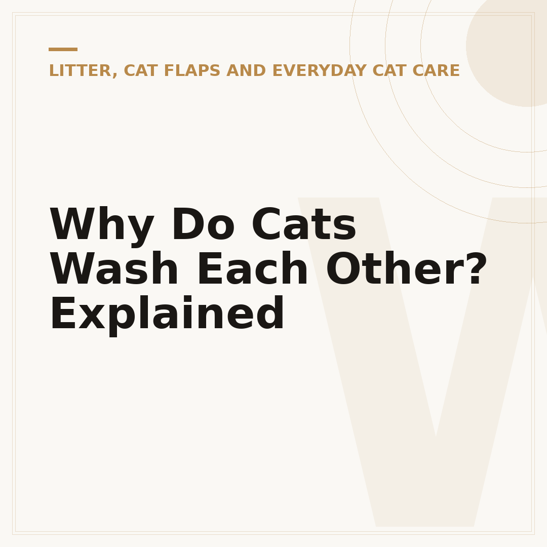 Why Do Cats Wash Each Other? Explained