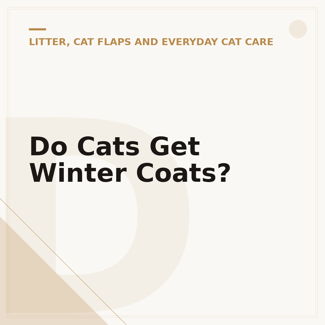 Do Cats Get Winter Coats?
