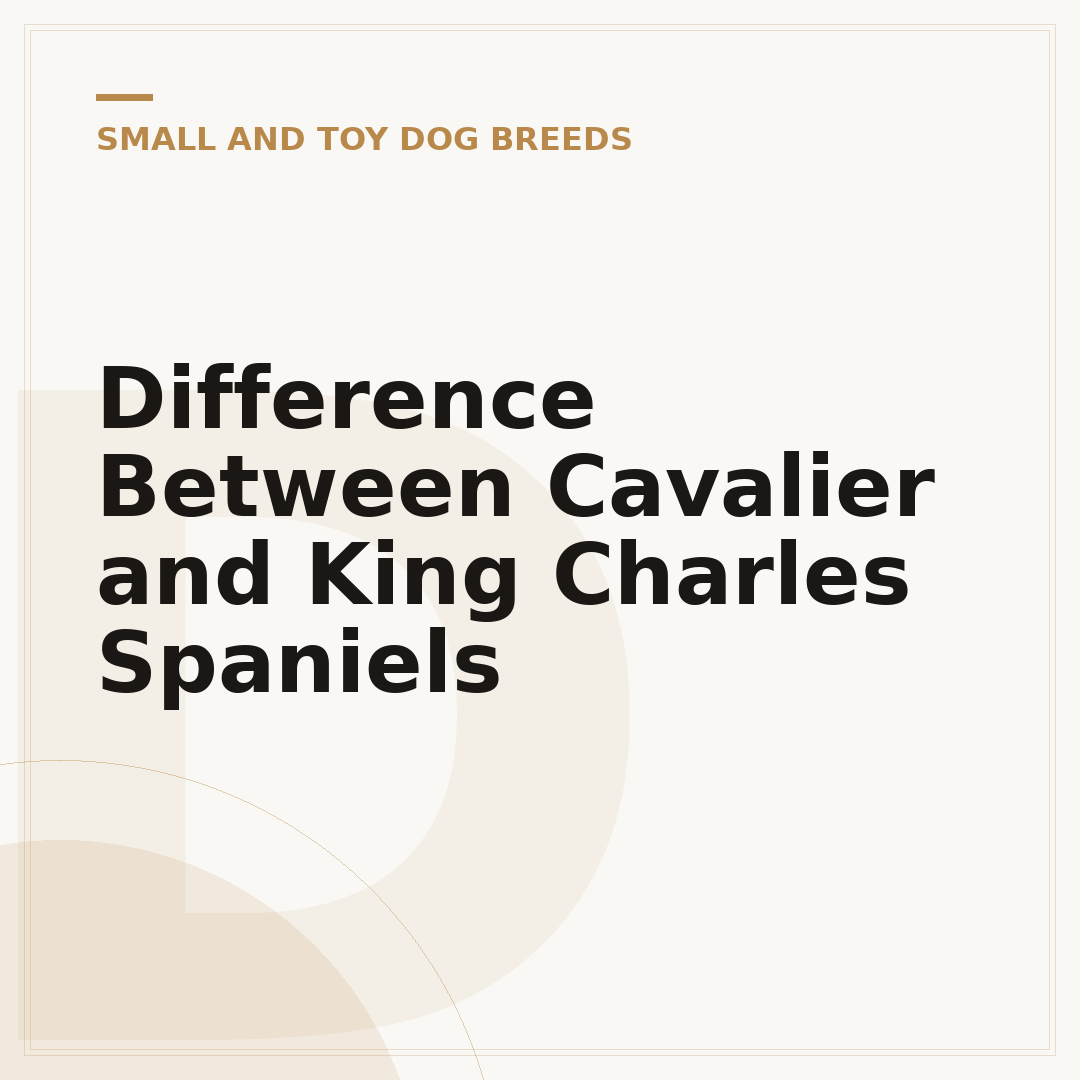 Difference Between Cavalier and King Charles Spaniels