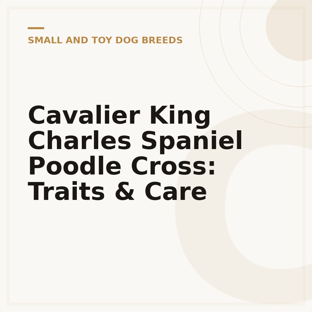 Cavalier King Charles Spaniel Poodle Cross: Traits & Care