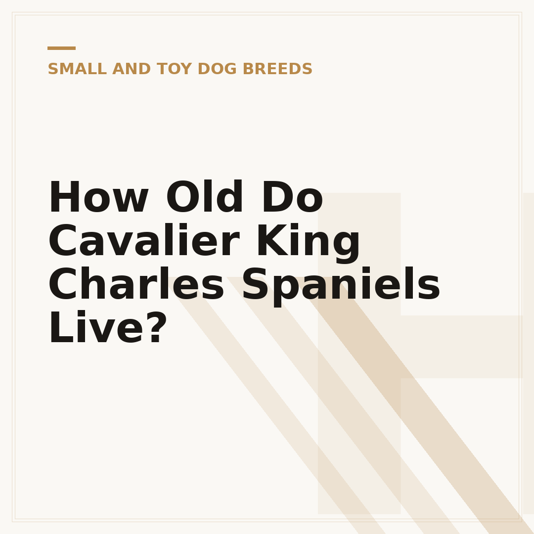 How Old Do Cavalier King Charles Spaniels Live?