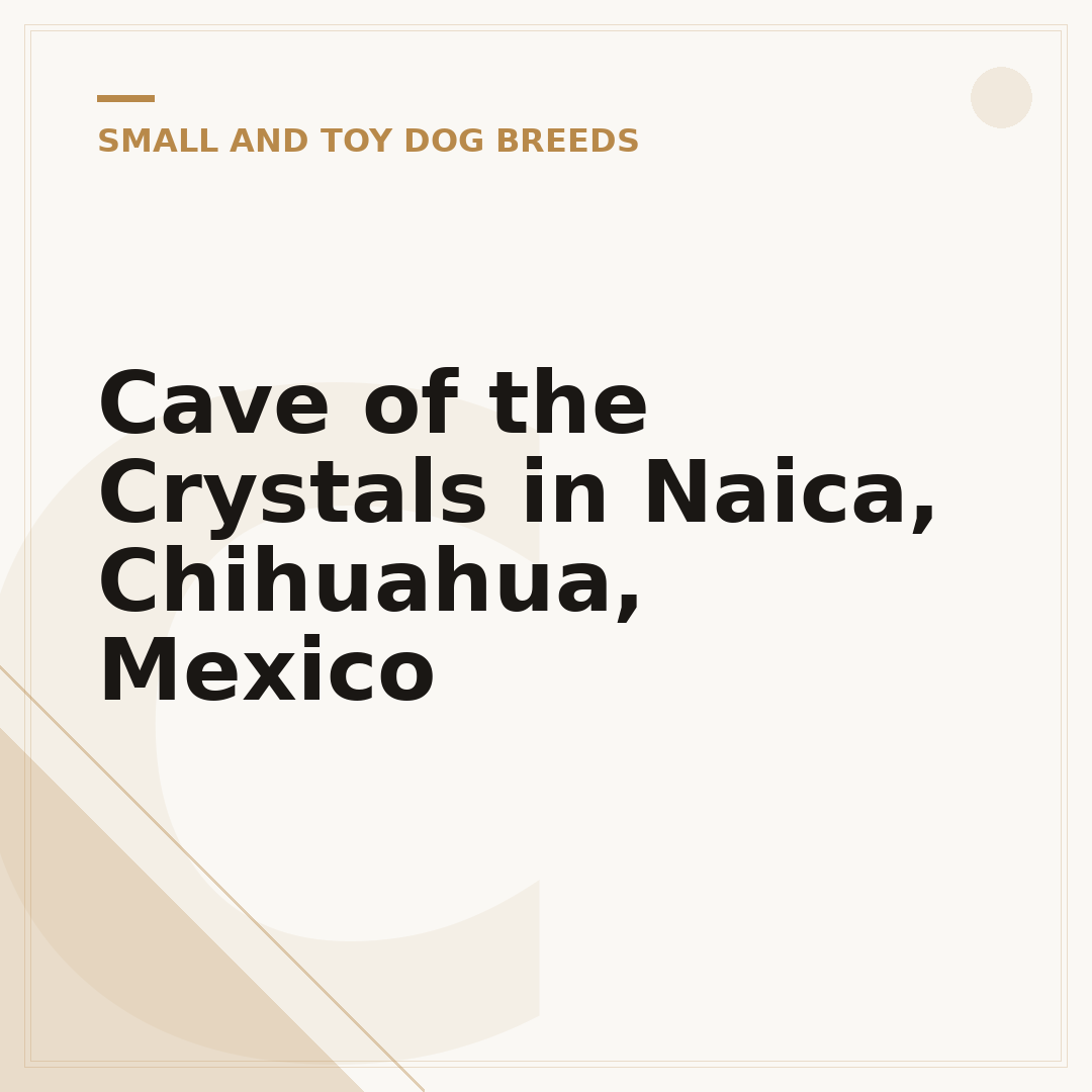 Cave of the Crystals in Naica, Chihuahua, Mexico