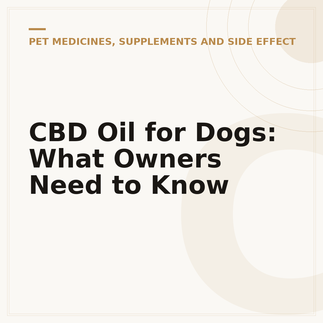 CBD Oil for Dogs: What Owners Need to Know