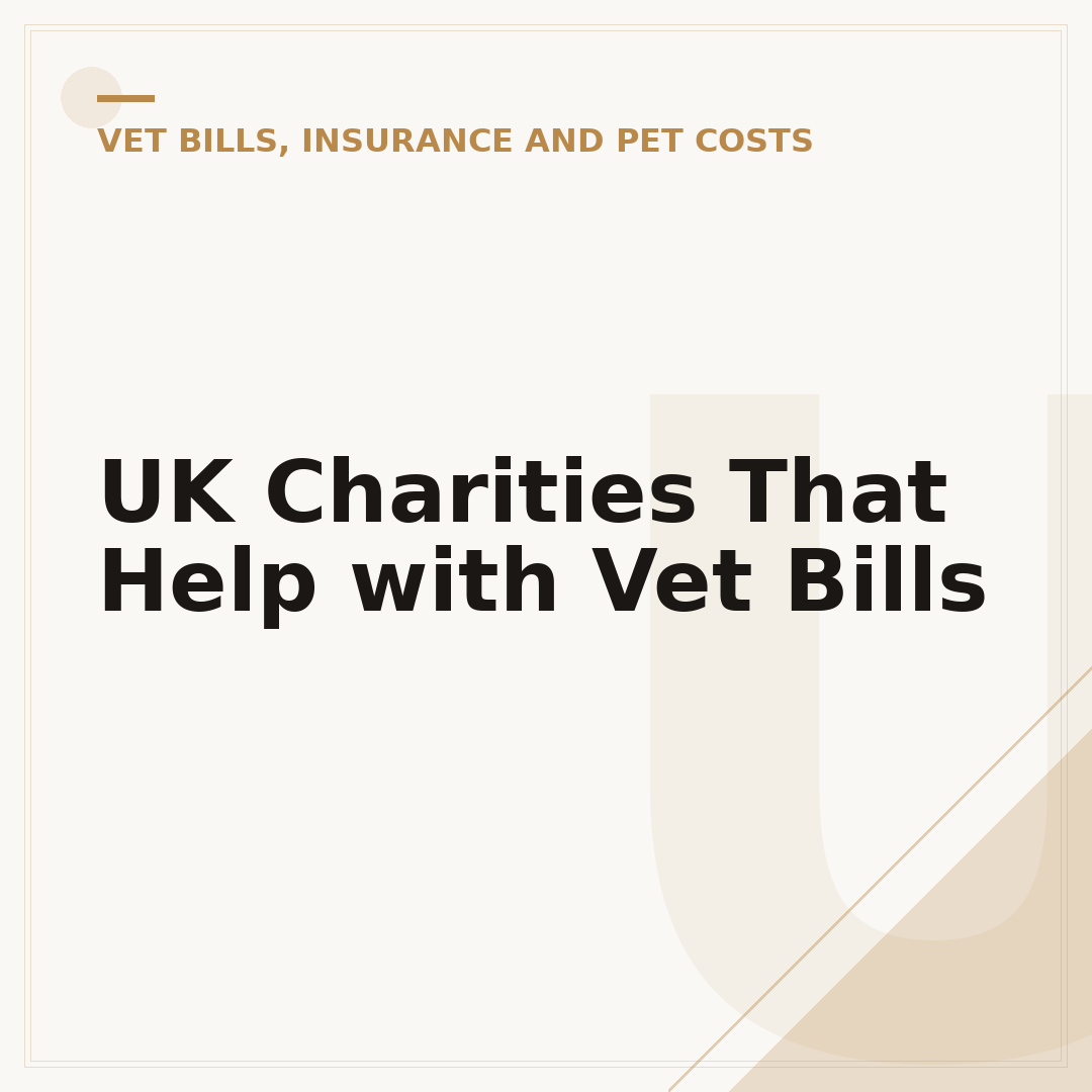 UK Charities That Help with Vet Bills