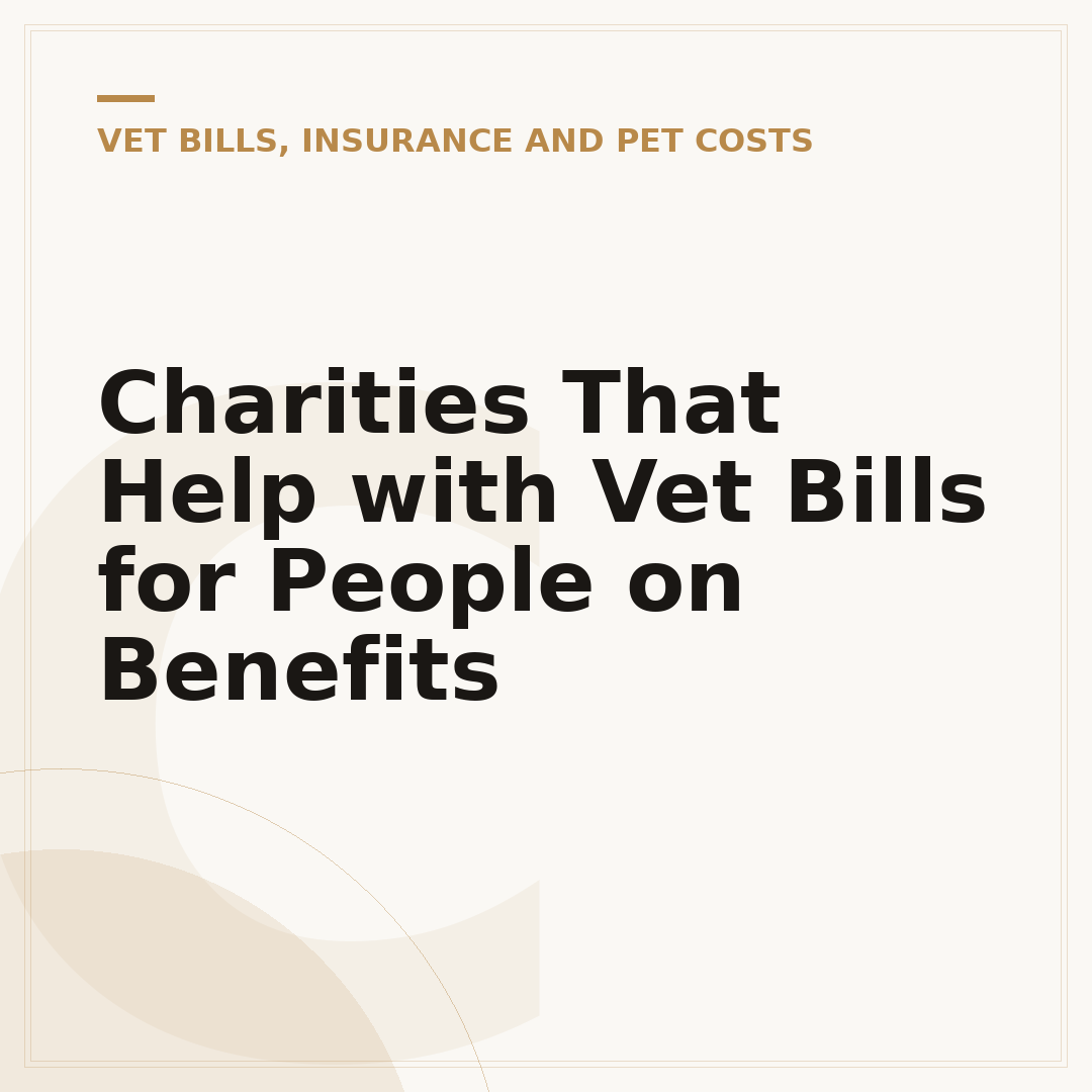 Charities That Help with Vet Bills for People on Benefits