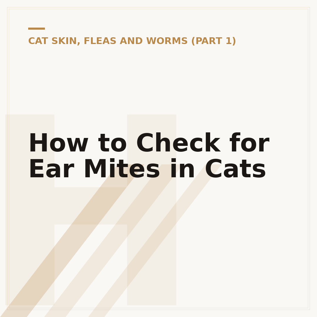 How to Check for Ear Mites in Cats