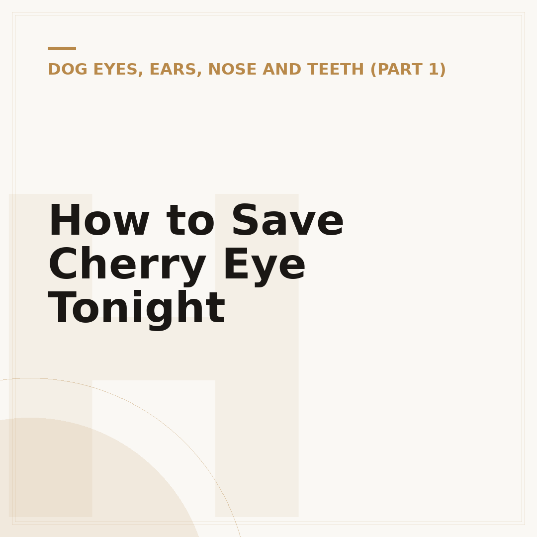How to Save Cherry Eye Tonight