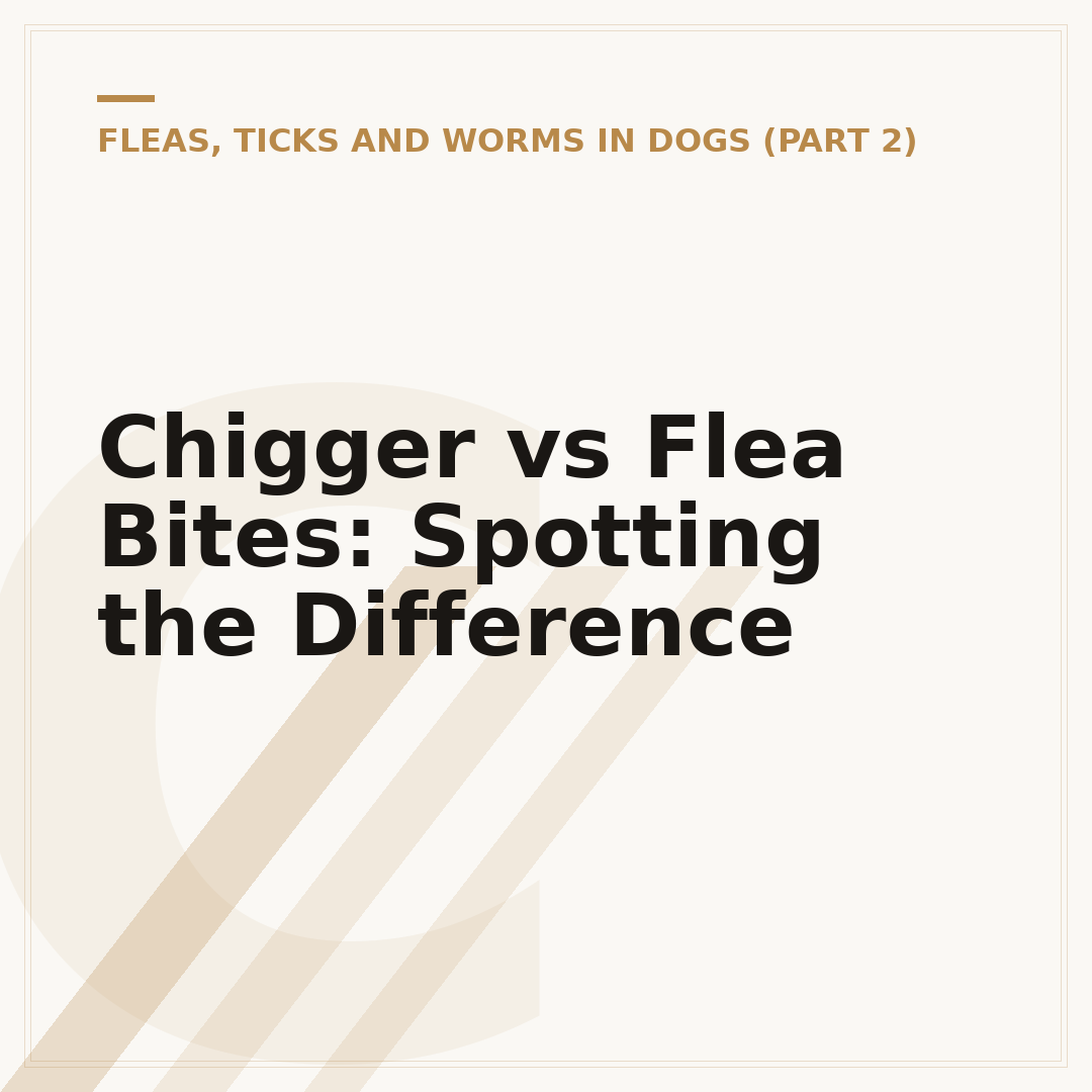 Chigger vs Flea Bites: Spotting the Difference