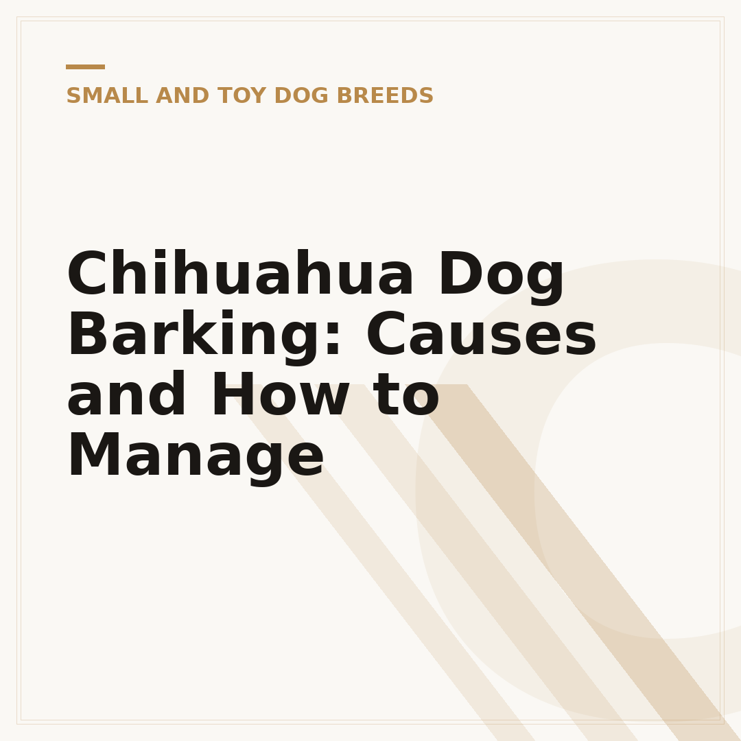 Chihuahua Dog Barking: Causes and How to Manage