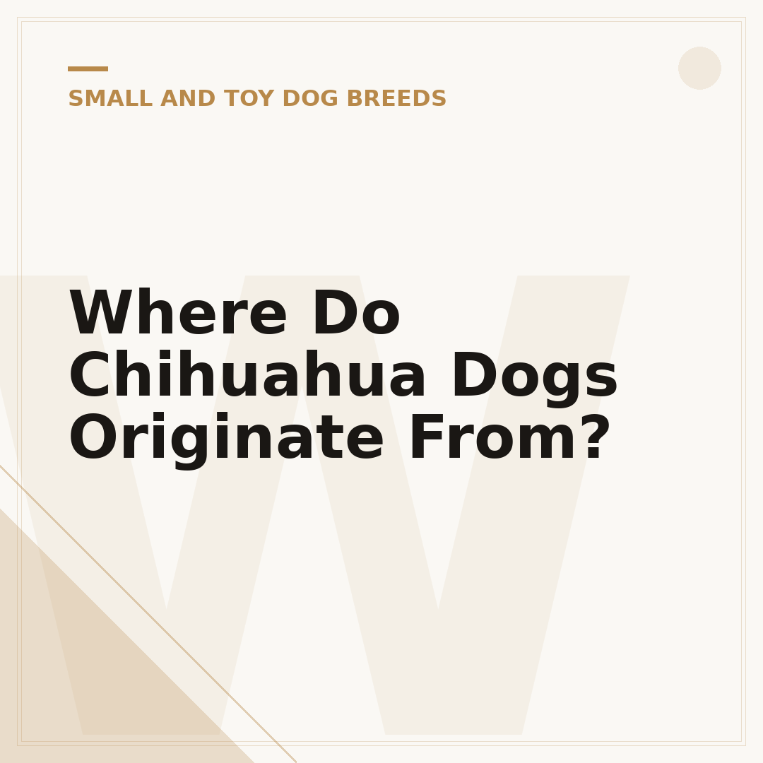 Where Do Chihuahua Dogs Originate From?