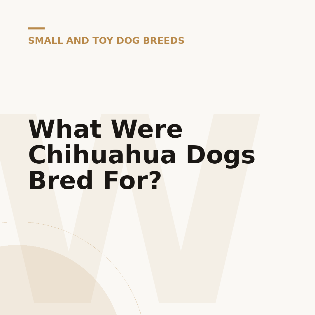 What Were Chihuahua Dogs Bred For?