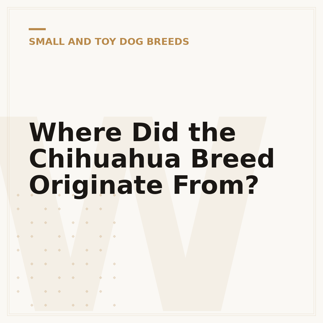 Where Did the Chihuahua Breed Originate From?