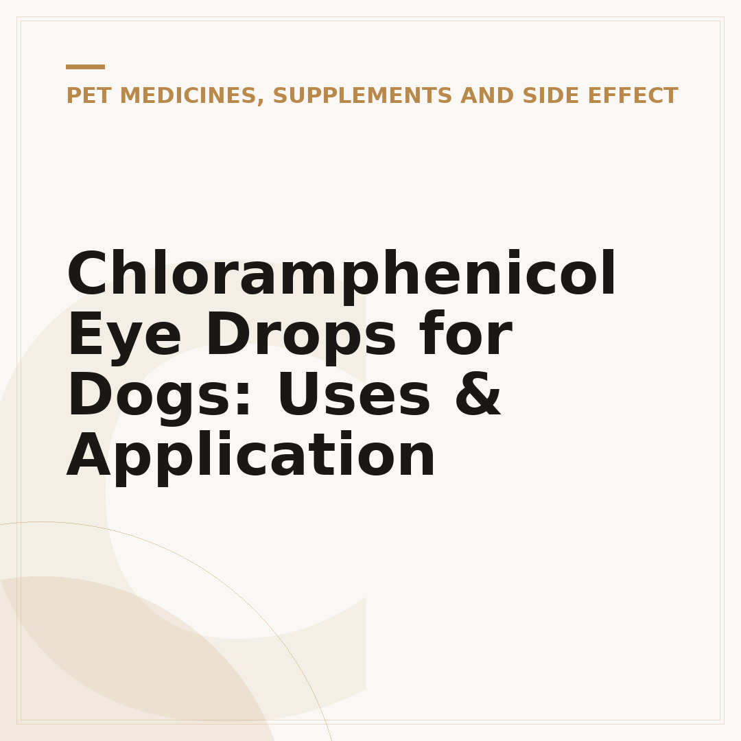 Chloramphenicol Eye Drops for Dogs: Uses & Application