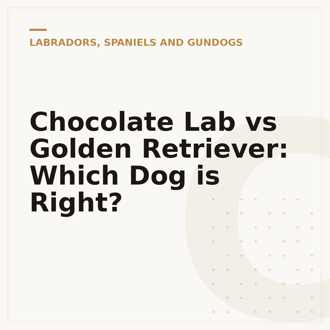 Chocolate Lab vs Golden Retriever: Which Dog is Right?