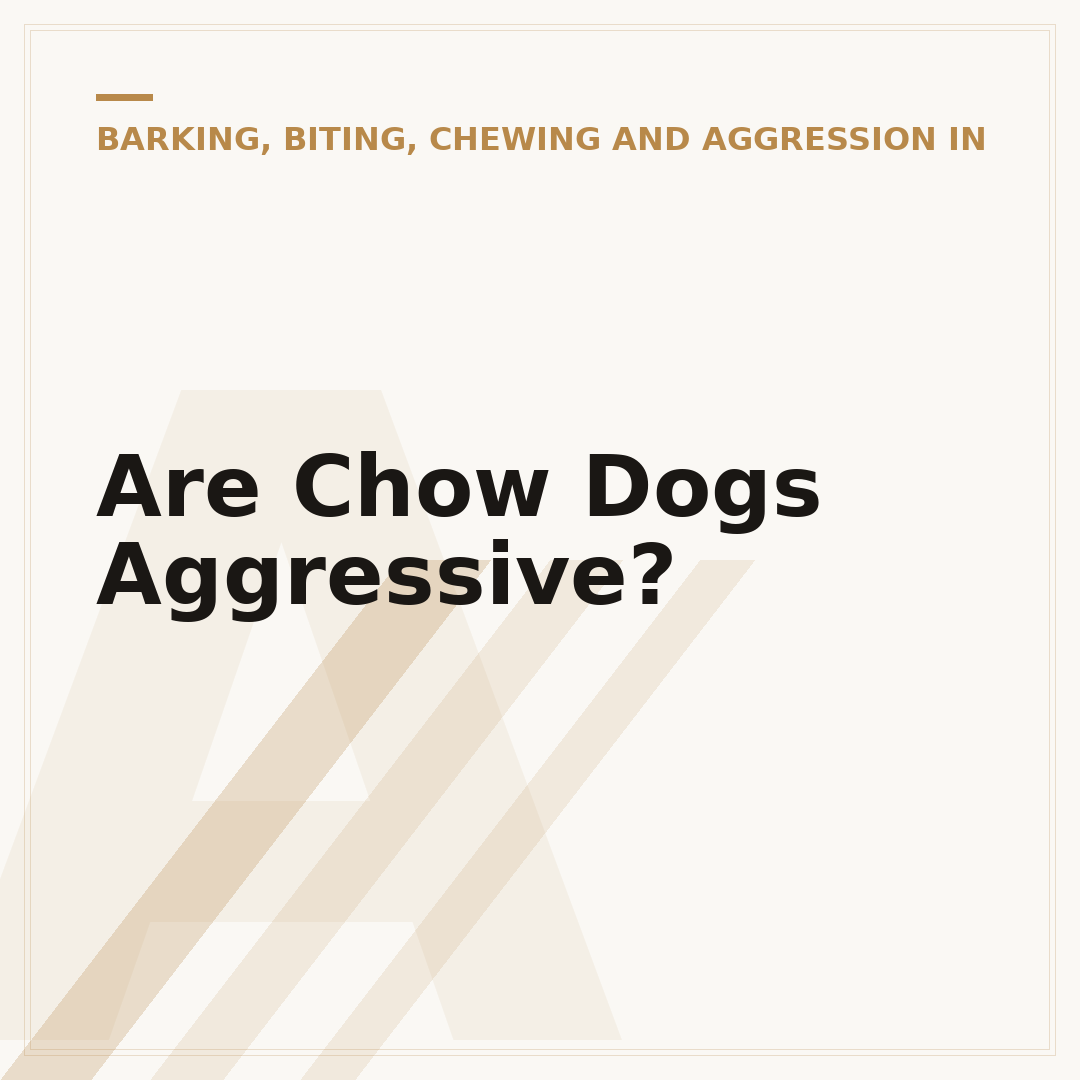 Are Chow Dogs Aggressive?