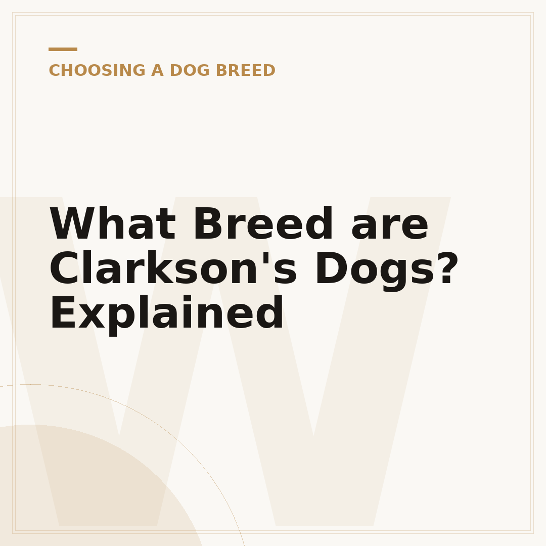 What Breed are Clarkson's Dogs? Explained
