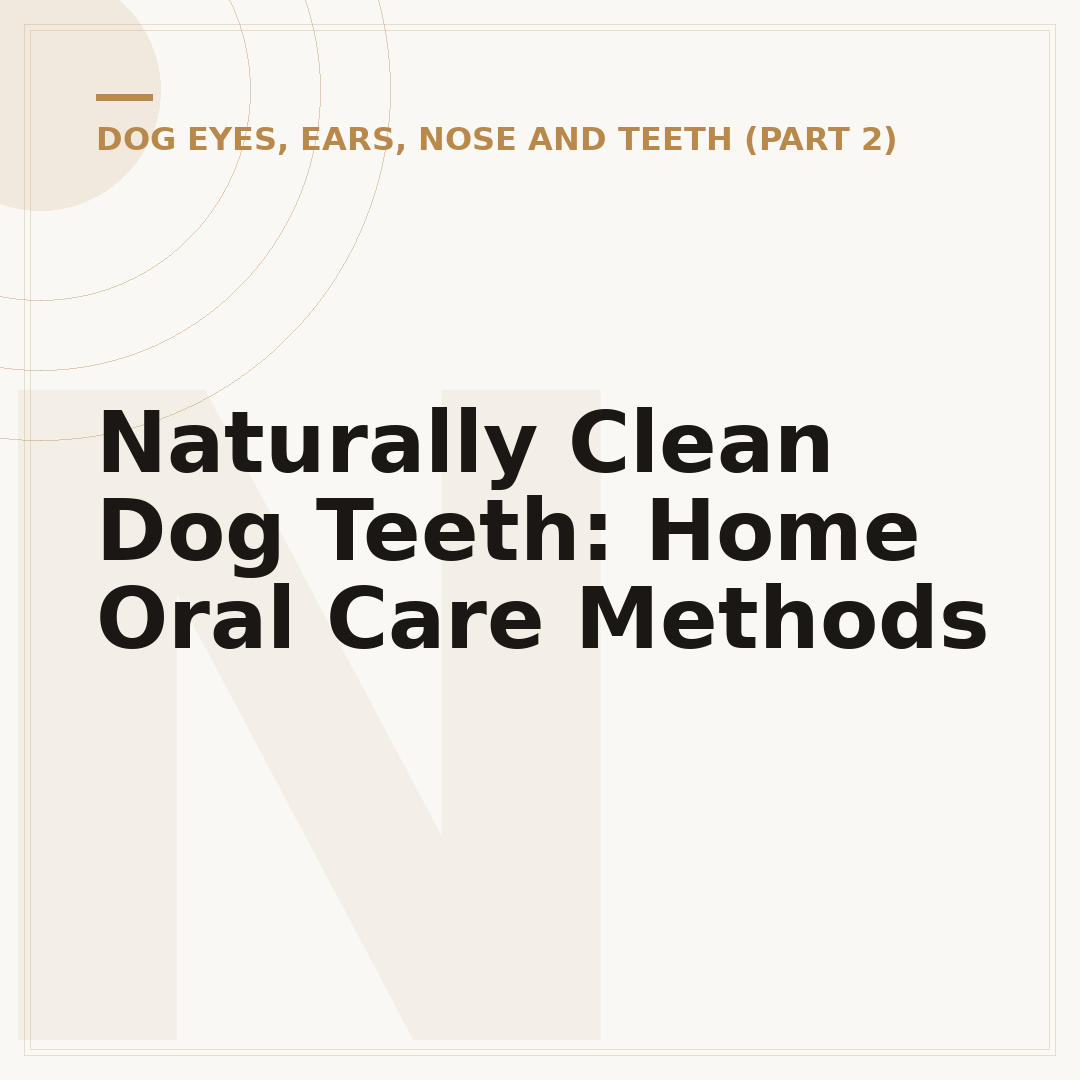 Naturally Clean Dog Teeth: Home Oral Care Methods