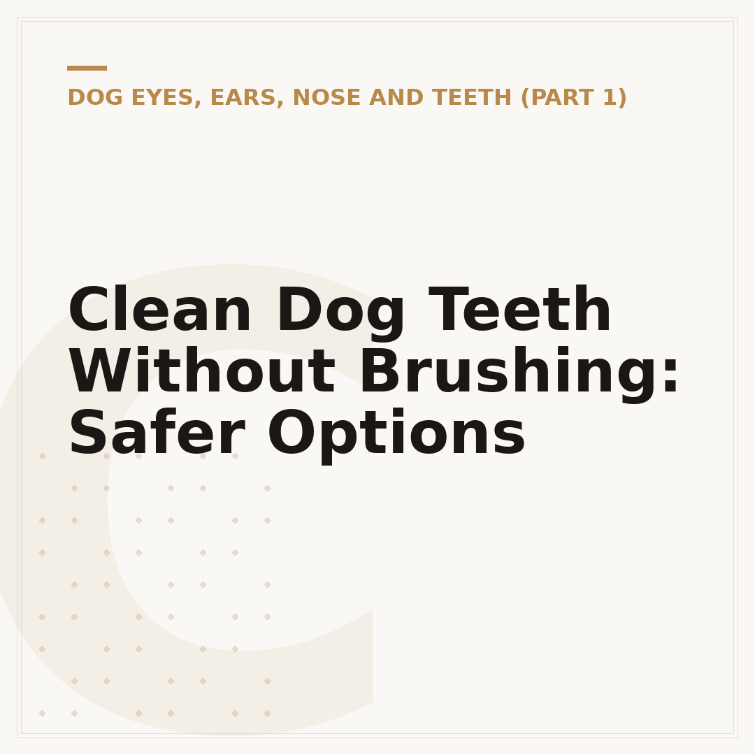 Clean Dog Teeth Without Brushing: Safer Options