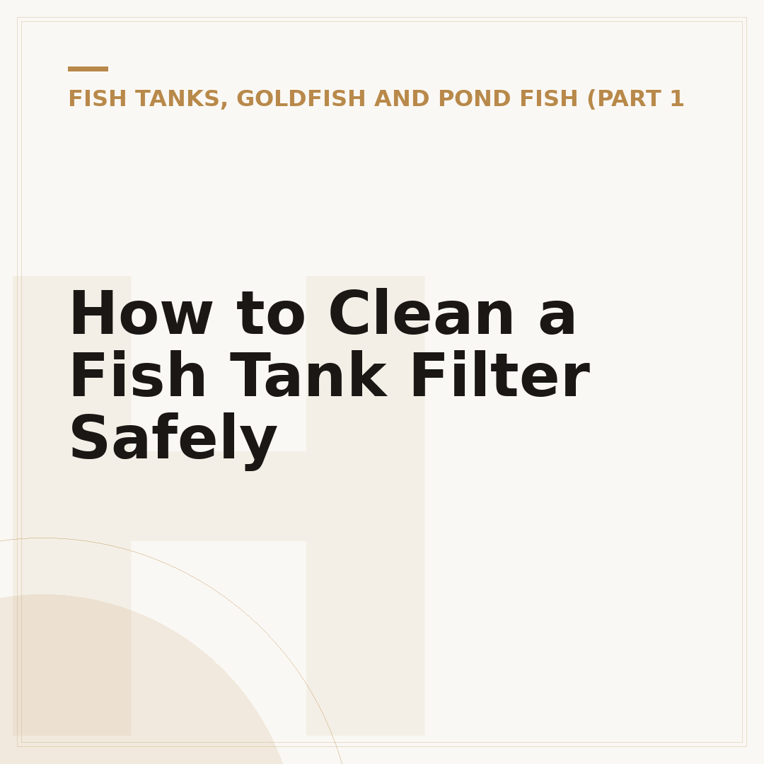 How to Clean a Fish Tank Filter Safely