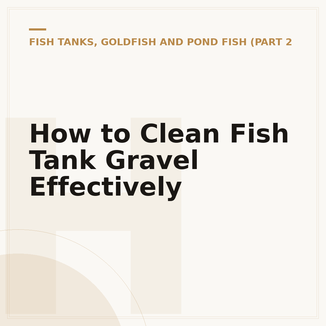 How to Clean Fish Tank Gravel Effectively