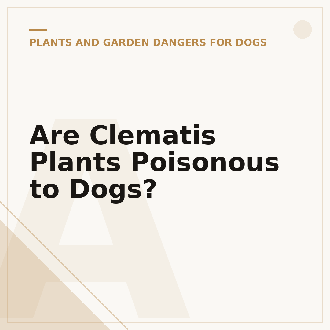 Are Clematis Plants Poisonous to Dogs?