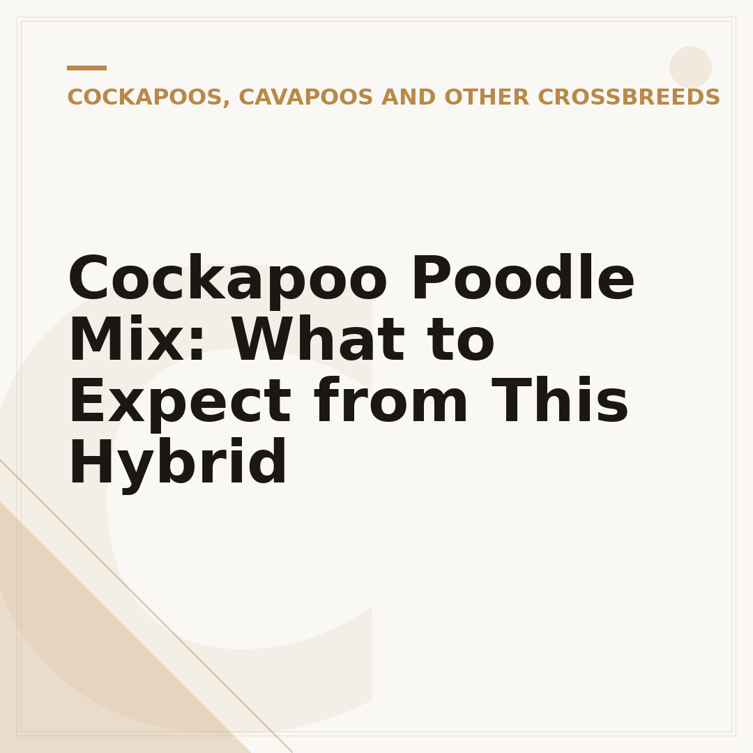 Cockapoo Poodle Mix: What to Expect from This Hybrid