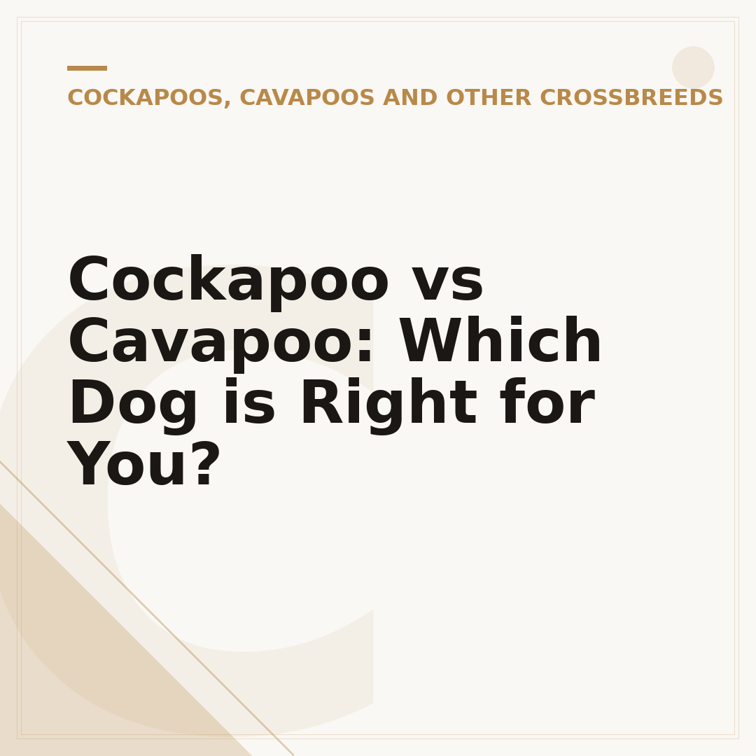 Cockapoo vs Cavapoo: Which Dog is Right for You?