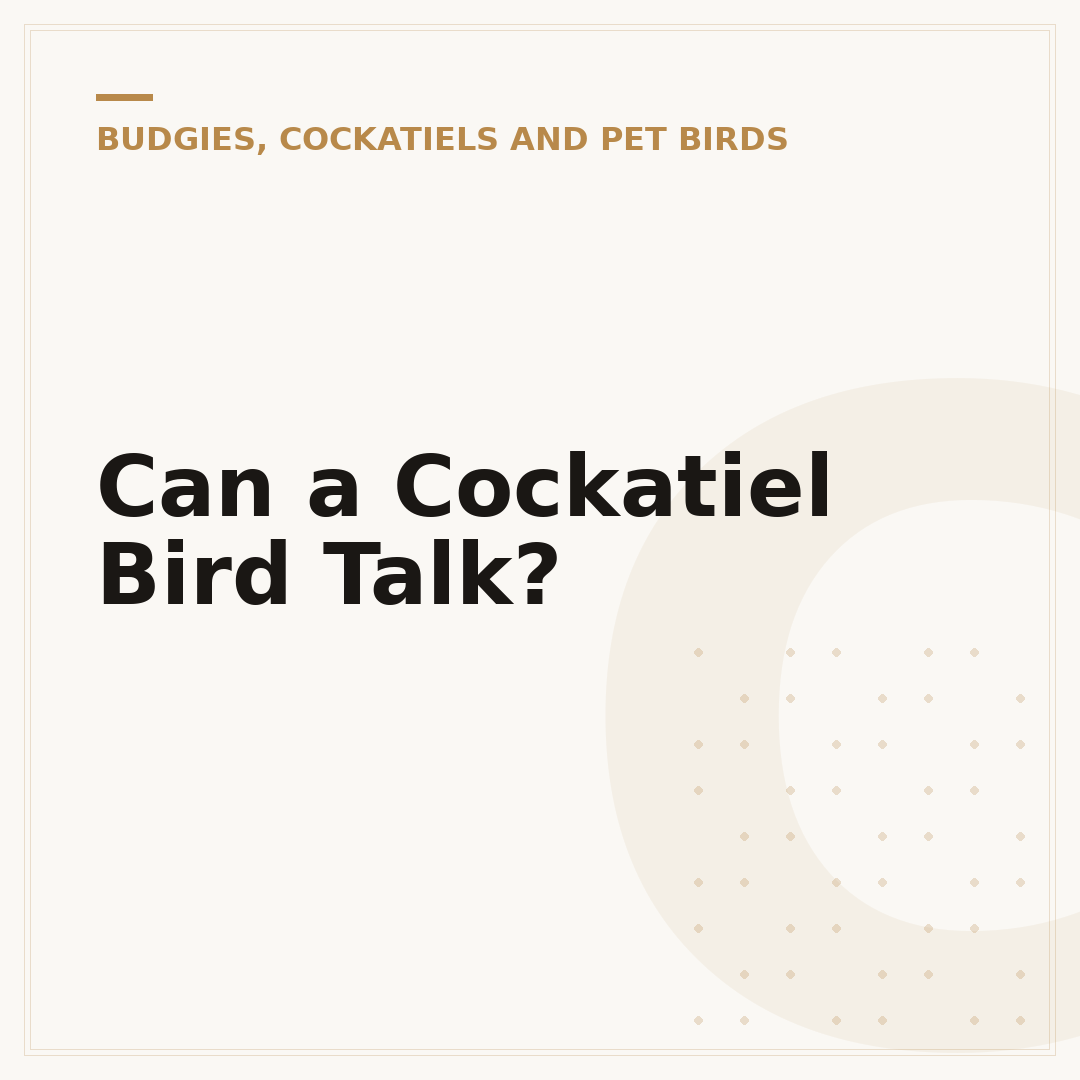 Can a Cockatiel Bird Talk?