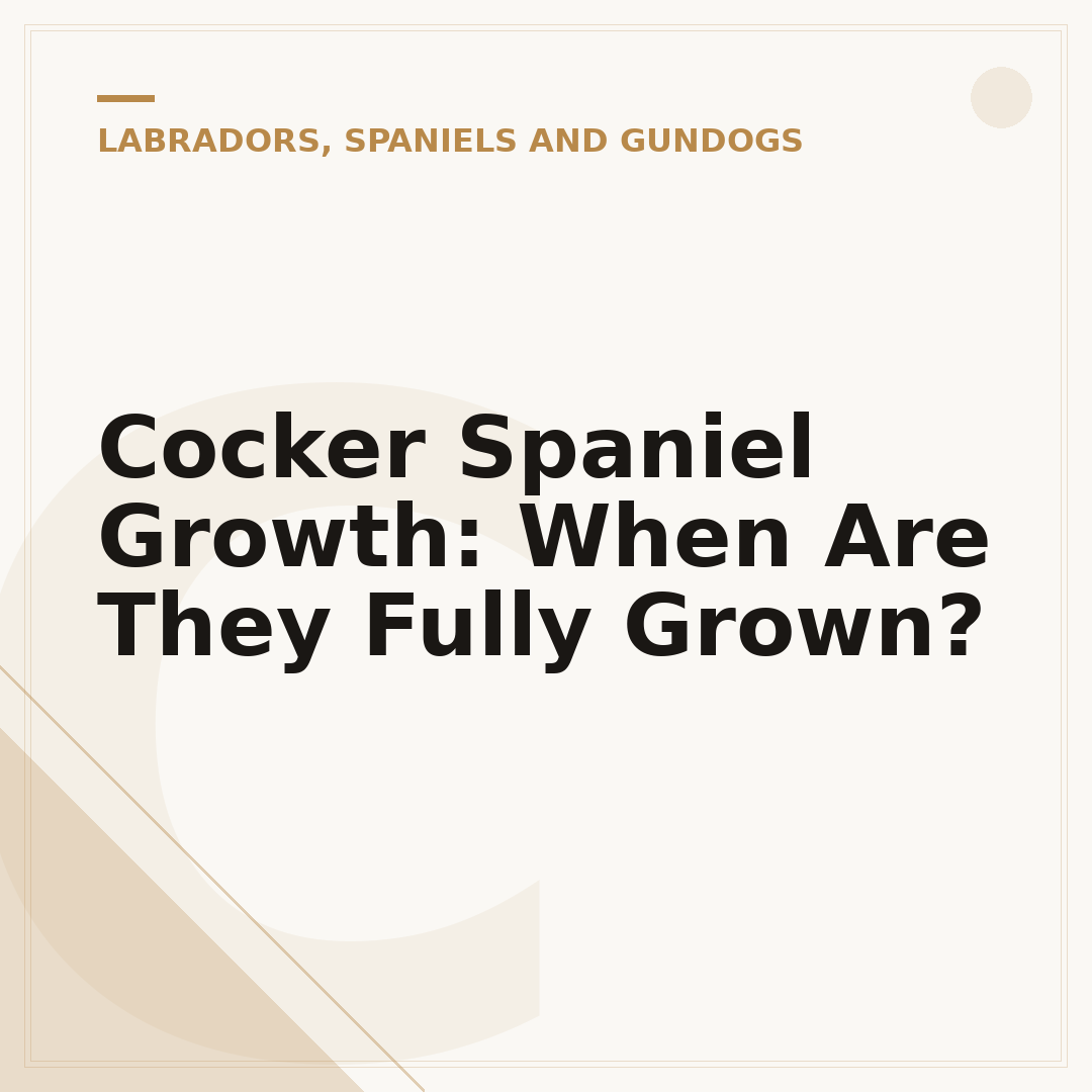 Cocker Spaniel Growth: When Are They Fully Grown?