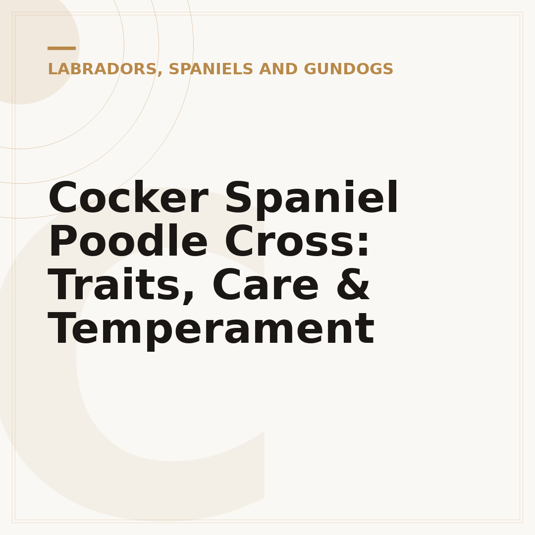 Cocker Spaniel Poodle Cross: Traits, Care & Temperament