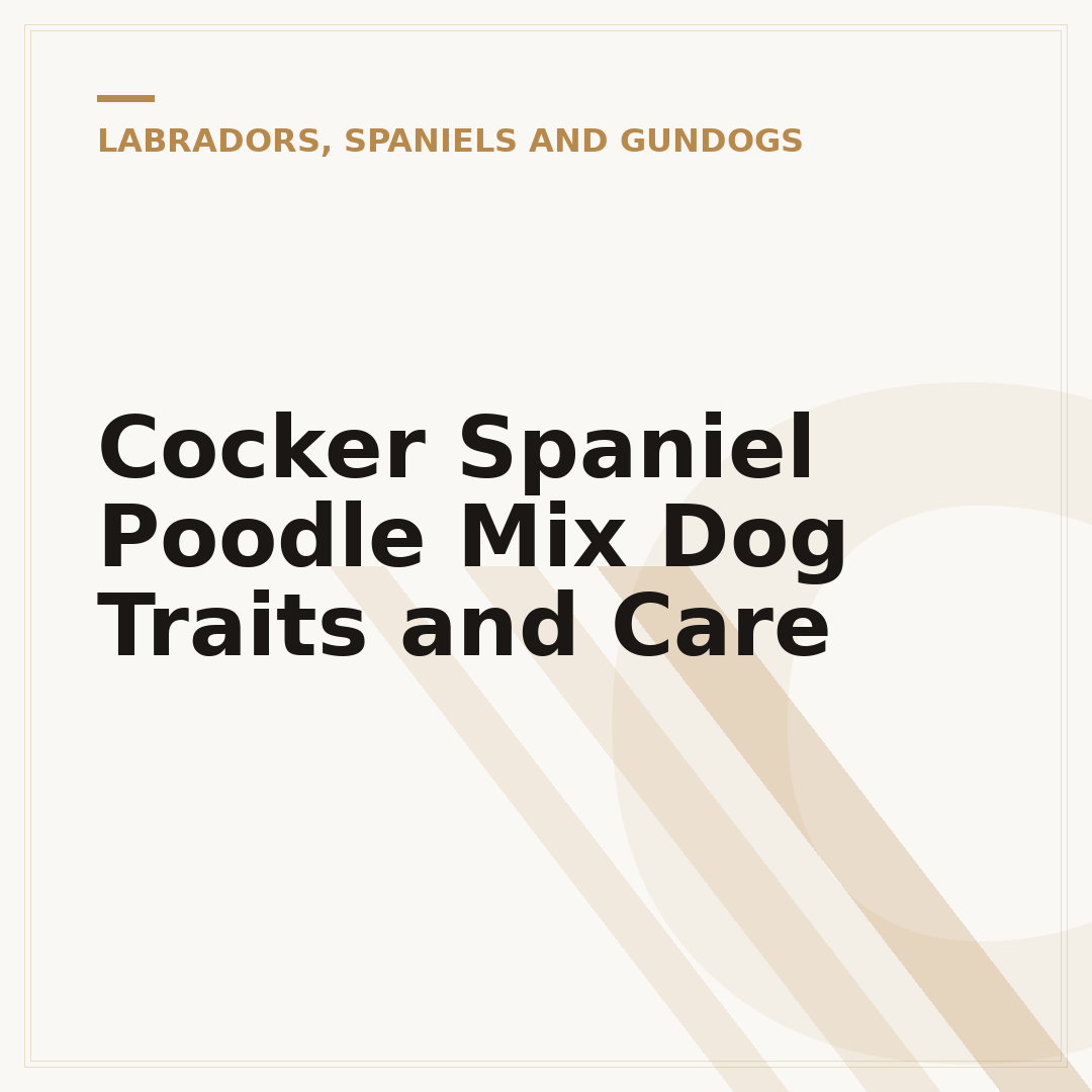 Cocker Spaniel Poodle Mix Dog Traits and Care