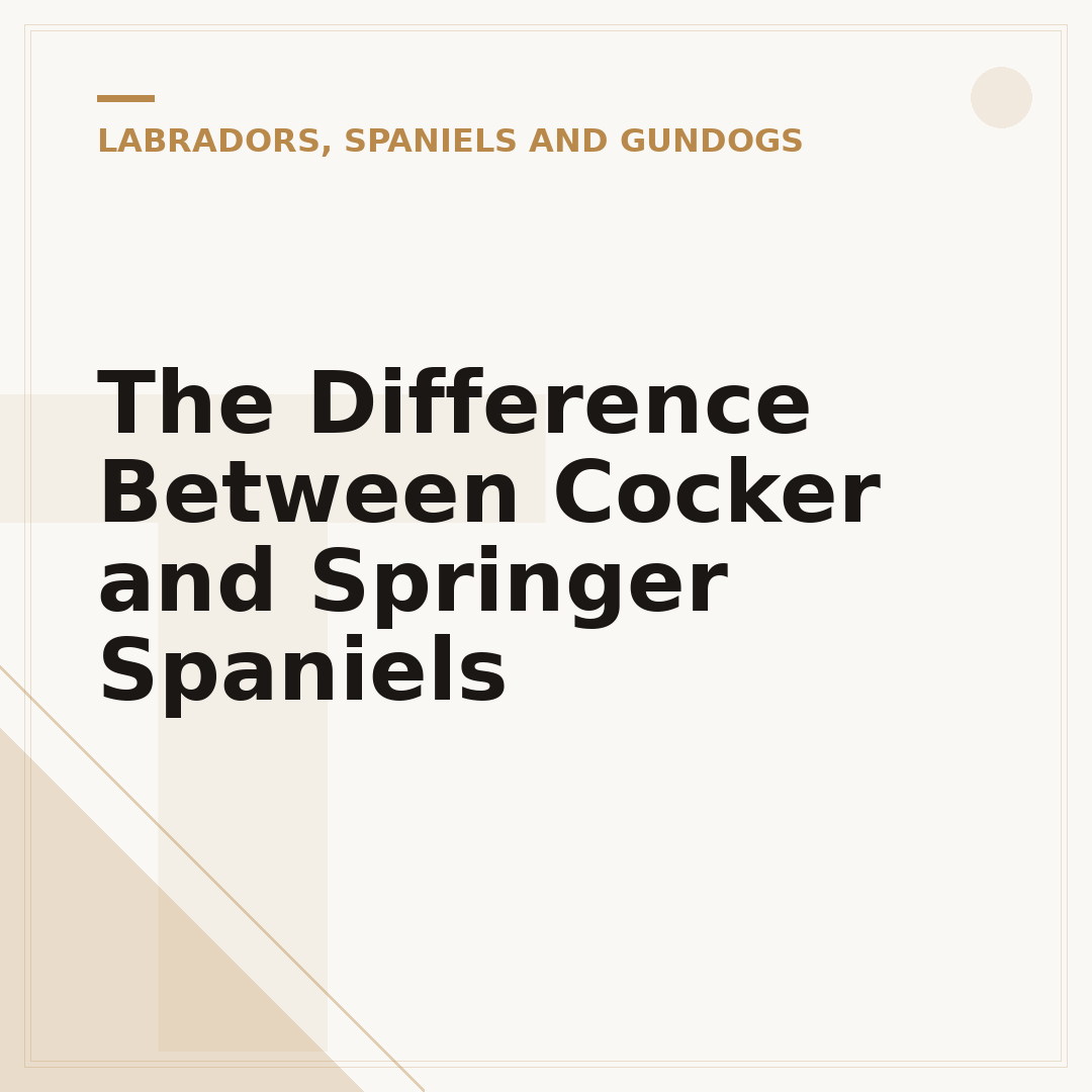 The Difference Between Cocker and Springer Spaniels
