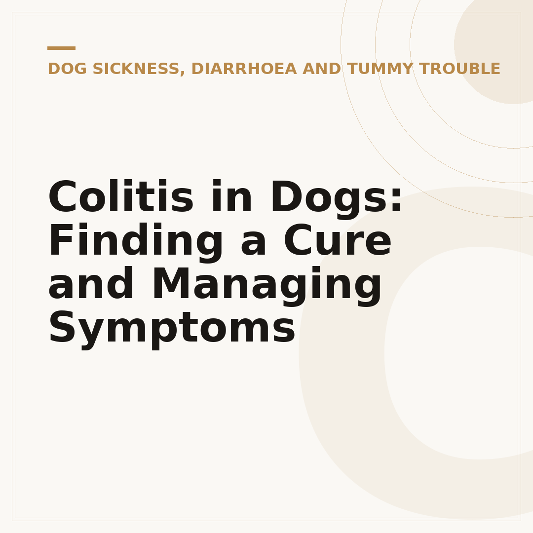 Colitis in Dogs: Finding a Cure and Managing Symptoms