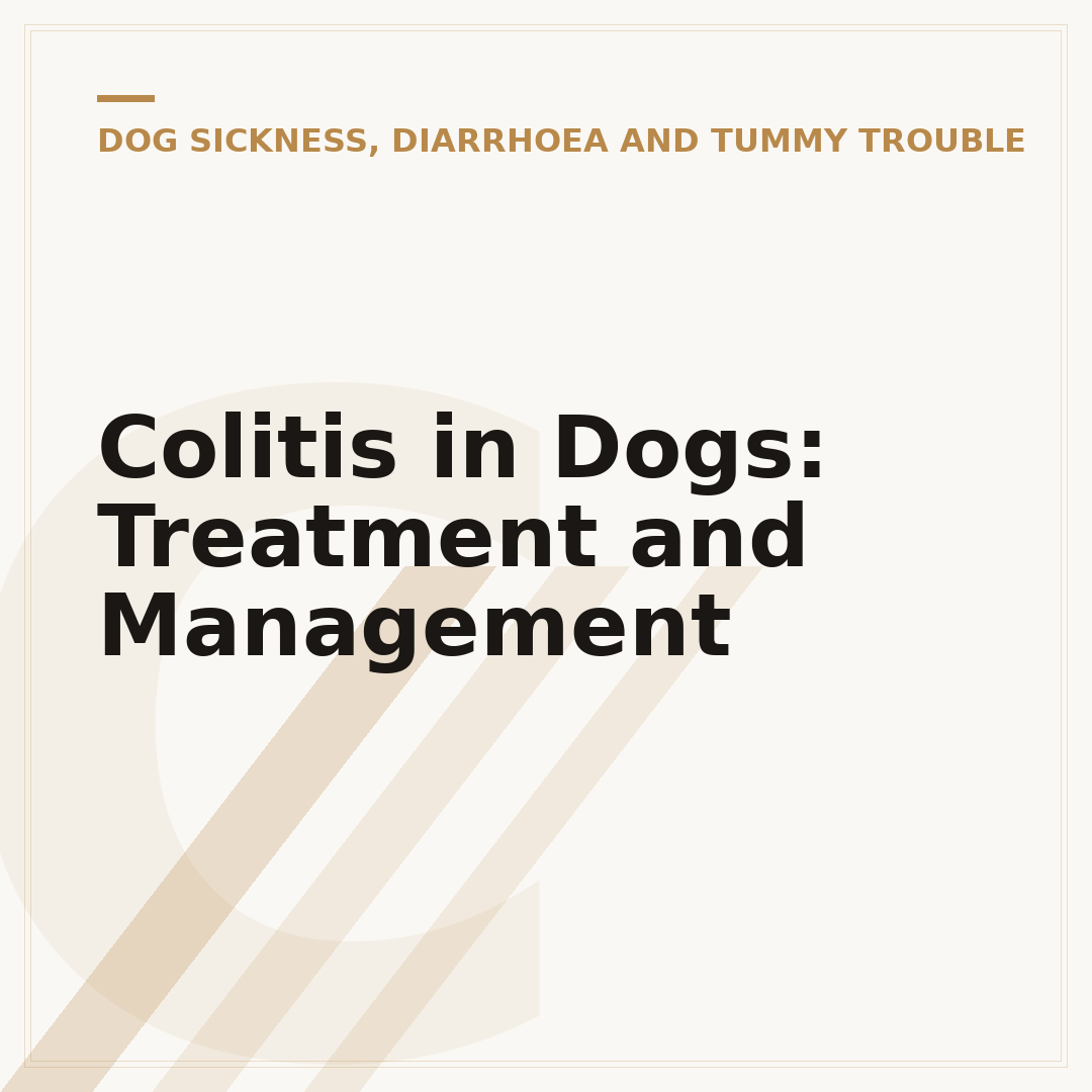 Colitis in Dogs: Treatment and Management
