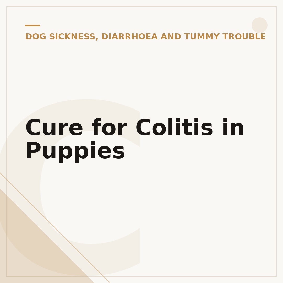 Cure for Colitis in Puppies
