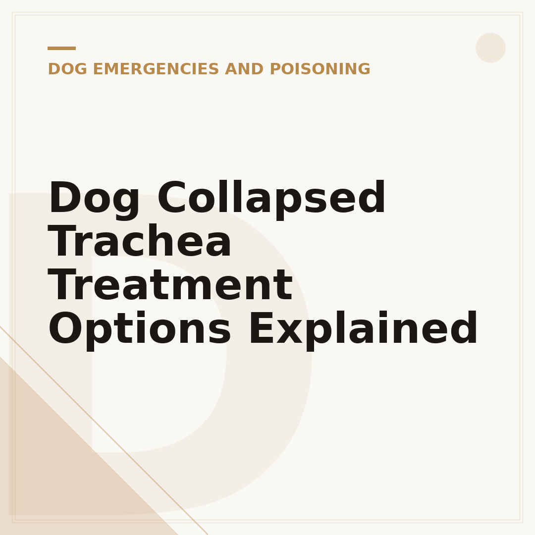 Dog Collapsed Trachea Treatment Options Explained