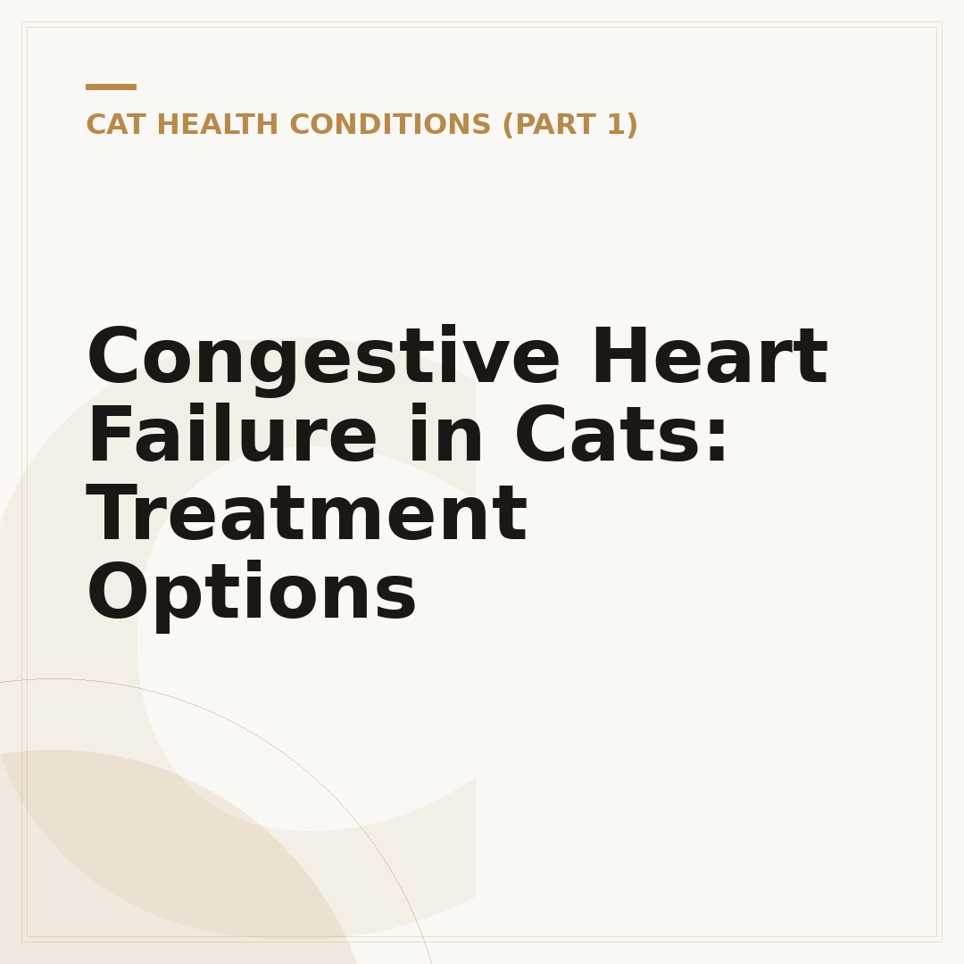 Congestive Heart Failure in Cats: Treatment Options