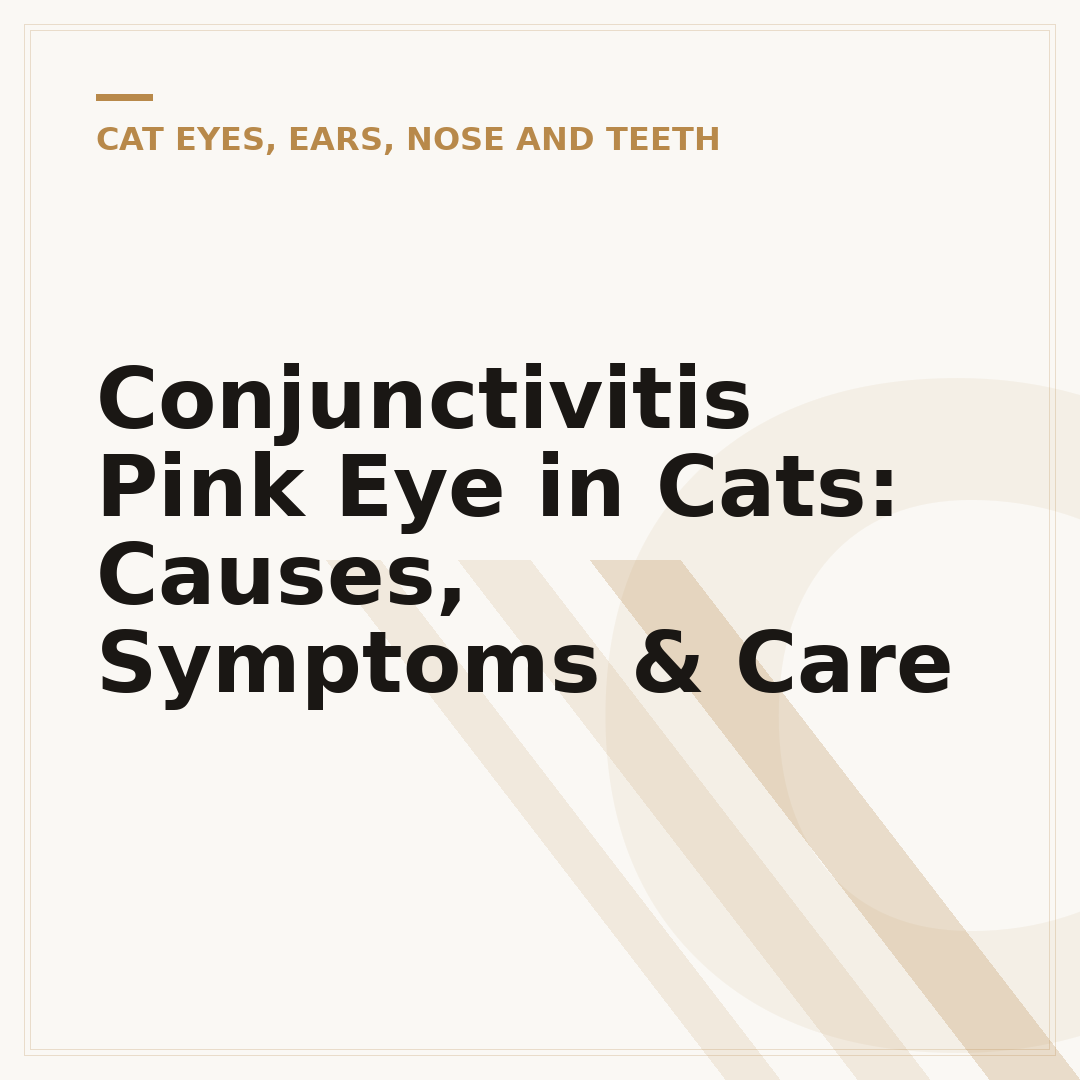 Conjunctivitis Pink Eye in Cats: Causes, Symptoms & Care