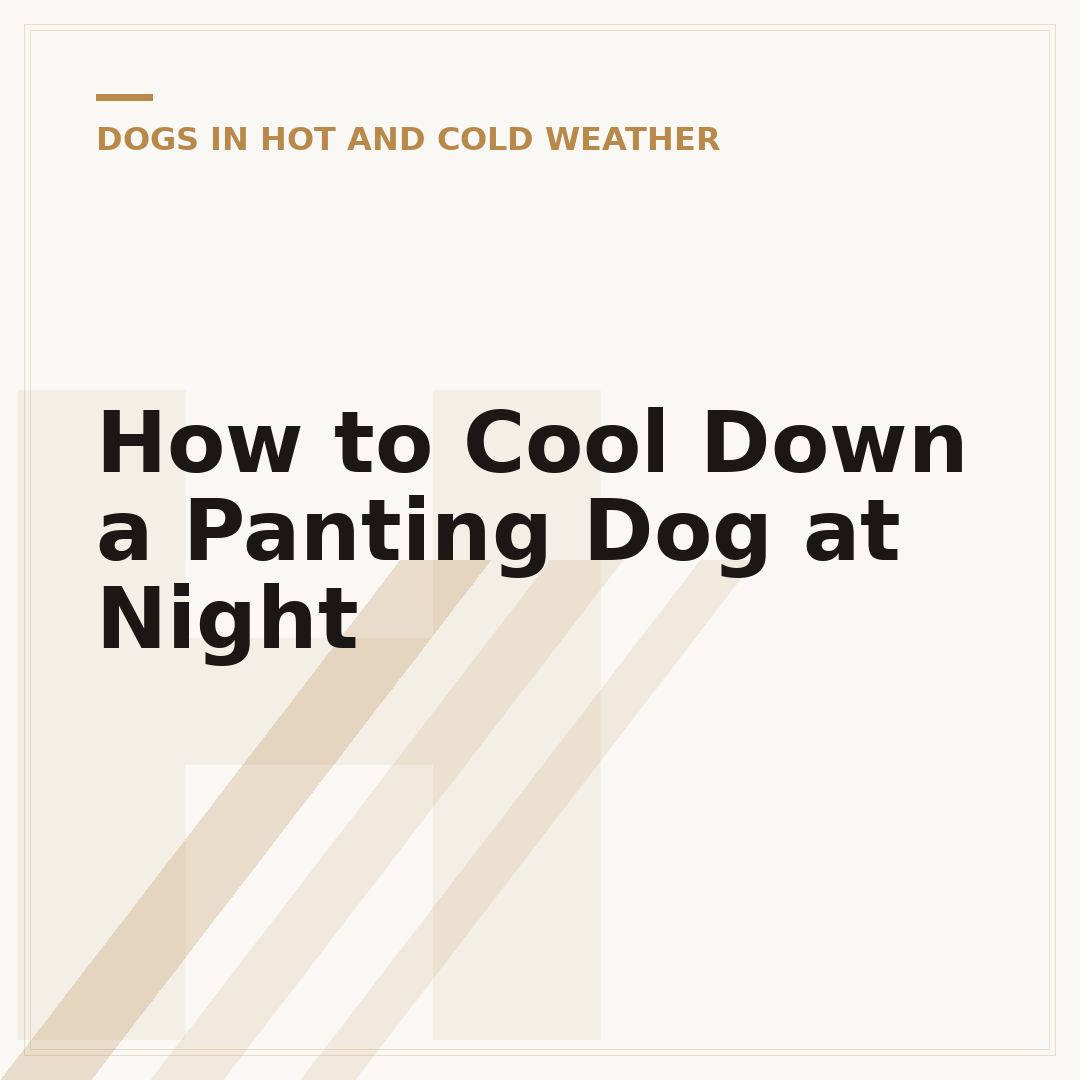 How to Cool Down a Panting Dog at Night