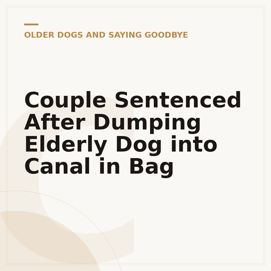 Couple Sentenced After Dumping Elderly Dog into Canal in Bag