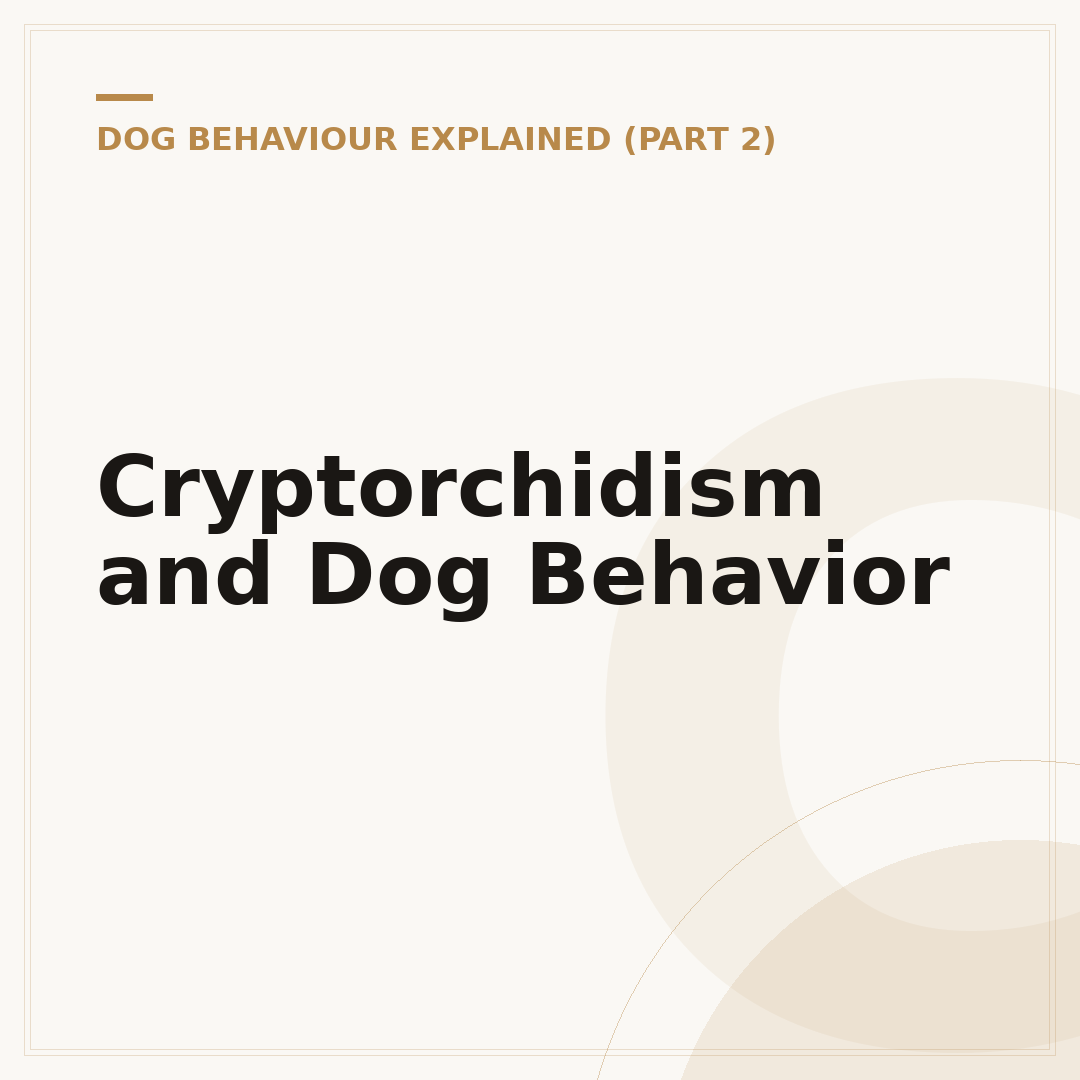 Cryptorchidism and Dog Behavior