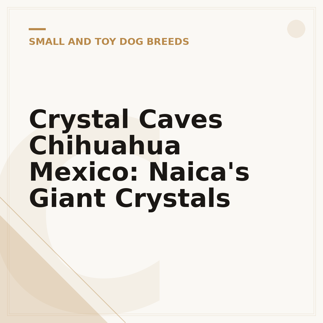 Crystal Caves Chihuahua Mexico: Naica's Giant Crystals